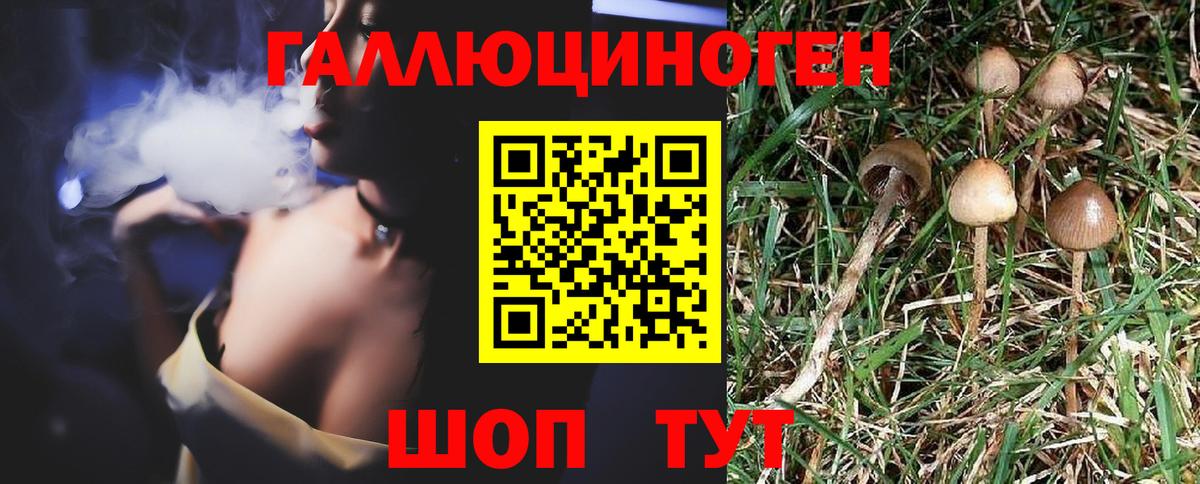 Саянск  Псилоцибиновые грибы ЛСД  Вход с VPN 