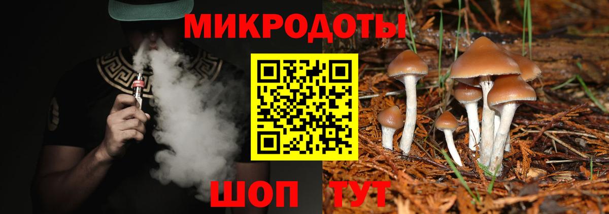 Псилоцибиновые грибы мухоморы Саянск